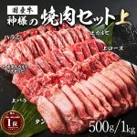 ギフト 北海道産 国産 神様の 焼肉セット【上】 上 カルビ 上 ロース 上 バラ （牛タン ハラミ 米国産） 約500~1kg(1キロ） 焼肉 約2~3人前 約4~5人前 食べ比べ 牛肉 国産牛 焼き肉 たん スライス 盛り合わせ 詰め合わせ 高級 霜降り グルメ 訳あり ではございません 食品