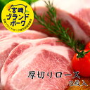 2位：宮崎ブランドポーク厚切りロースステーキ 5枚入 約750g 送料無料 領収書 豚肉 豚 ブタ 焼肉 豚ロース肉 豚肉厚切り ステーキ肉 ステーキ5枚 ロース 豚ロース 豚セット 焼肉セット BBQ 国産 宮崎産 とんかつ