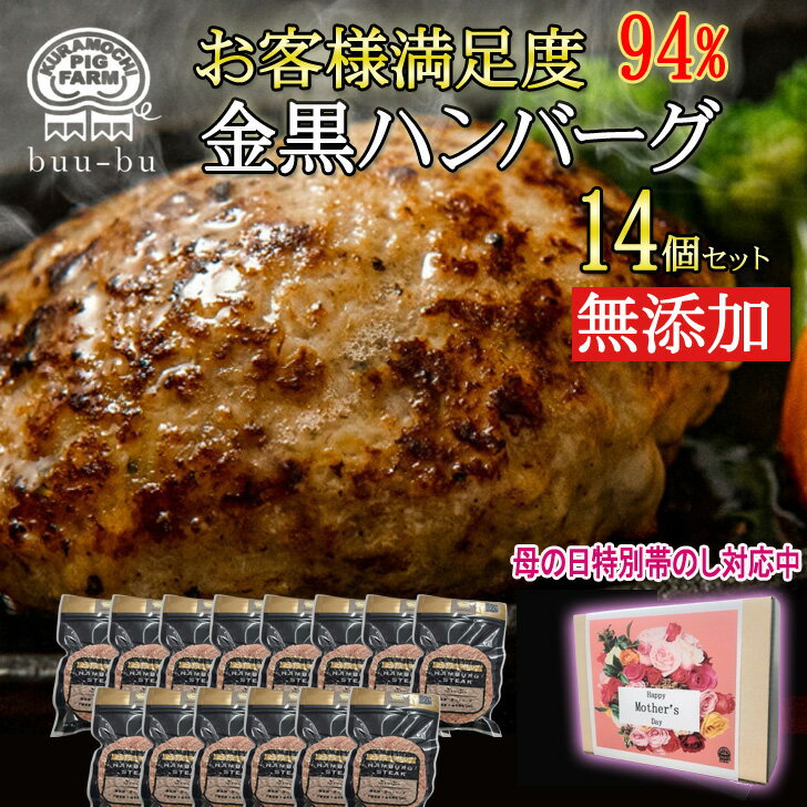 クーポン利用で 8540円が 4441円 ★数量限定【3/30～4/3】ハンバーグ 無添加 高級 ギフト 14個 ギフト 早得 高級 ギフト 14個 送料無料 国産 和牛 セット 冷凍 内祝 出産祝い 母の日 母