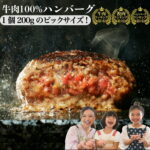 究極のひき肉で作る 牛100% ハンバーグ 200g 1個ずつ個包装 200g×10個 総量 2.0kg | 牛肉100% 冷凍 ギフト 父の日 食べ物 お取り寄せ 美味しい ビーフハンバーグ 牛肉ハンバーグ 熨斗 bonbori ぼんぼり
