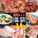 【精肉セット ランキング1位！】福袋 肉 牛タン 塩タン 3.8kg 薄切り バーベキュー 食材 セット BBQ 肉 焼肉セット バーベキュー肉 バーベキューセット 食材 BBQ食材セット 焼肉 豚トロ 豚肉 牛肉 送料無料 8〜12人前