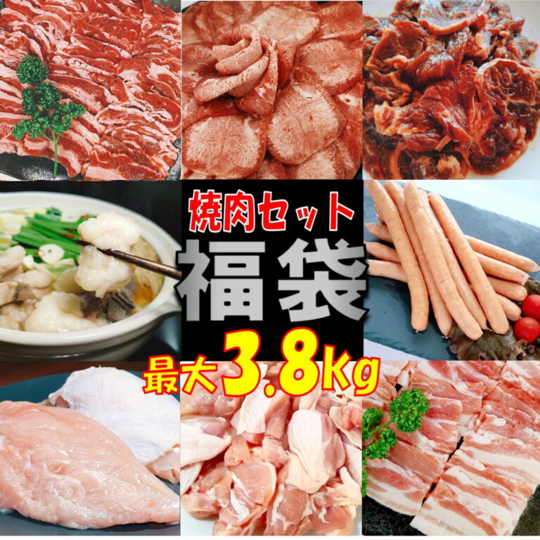 【精肉セット ランキング1位！】福袋 肉 牛タン 塩タン 3.8kg 薄切り バーベキュー 食材 セット BBQ 肉 焼肉セット バーベキュー肉 バーベキューセット 食材 BBQ食材セット 焼肉 豚トロ 豚肉 牛肉 送料無料 8〜12人前