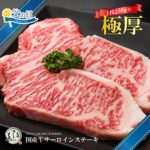 父の日ギフト受付中！九州産 国産牛 厚切り サーロインステーキ 用肉 250g/500g/750g/1kg/1.25kg/1.5kg/1.75kg/2kg