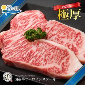 父の日ギフト受付中！九州産 国産牛 厚切り サーロインステーキ 用肉 250g/500g/750g/1kg/1.25kg/1.5kg/1.75kg/2kg