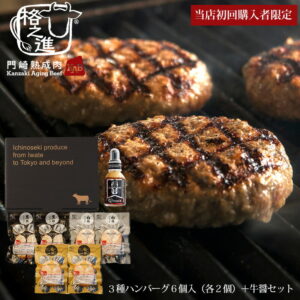 【当店初回購入者限定/お1人様2セットまで】ハンバーグ 父の日 ギフト 詰め合わせ 送料無料 冷凍 格之進 食べ比べプレミアムセット（黒格/白格/金格各2個/牛醤1本）黒毛和牛 白金豚
