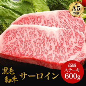 【父の日 お肉ギフト A5等級サーロインステーキ】黒毛和牛・サーロイン 600g・最高ランク A5ランク 贅沢 厚切り ステーキ肉 和牛 高級肉 A5 焼肉 ギフト 父の日 御中元 お取り寄せグルメ 牛肉 高級 肉 お歳暮 内祝 贈り物 プレゼント お祝い 誕生日 母の日 キャンプ飯