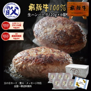 【よ〜いドン！で紹介されました】 飛騨牛 ハンバーグ 120g×6個 送料無料 ハンバーグ 肉 ギフト 黒毛和牛 ハンバーグ 牛 肉 お肉 セット 詰め合わせ お取り寄せグルメ お礼 お祝い 内祝 誕生日 プレゼント 父の日 ギフト 2025