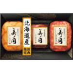 お中元 2025 日本ハム 北海道 プレミアム 美ノ国 UKH-49 精肉 肉加工品 加工品 セット 詰め合わせ 夏 夏ギフト 中元 ギフト 贈り物 暑中見舞い