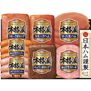 お中元 2025 日本ハム 本格派ギフト NH-343 精肉 肉加工品 加工品 セット 詰め合わせ 夏 夏ギフト 中元 ギフト 贈り物 暑中見舞い