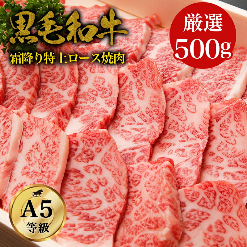 【特上高級霜降り焼肉】黒毛和牛・特上ロース 焼肉 500g・A5ランク 和牛 サーロイン リブロース プレゼントBBQ 高級肉 牛肉ギフト 焼肉 お取り寄せグルメ 美味しい 贈り物 誕生日 お祝い 内祝い お歳暮 お中元 御中元