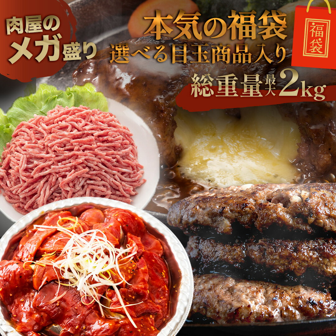 【 超目玉 福袋 2025 】 選べる ガッツリ 2kg ! 送料無料 はしっこ 訳あり お肉 4種 人気のはしっこ 在庫処分 食品 牛肉 豚肉 肉 豚丼 訳あり はしっこ豚肉 はしっこ豚 訳アリ 牛ひき肉 カルビ ハンバーグ チーズインハンバーグ 味噌タレ 冷凍食品 時短 肉 お歳暮 1023