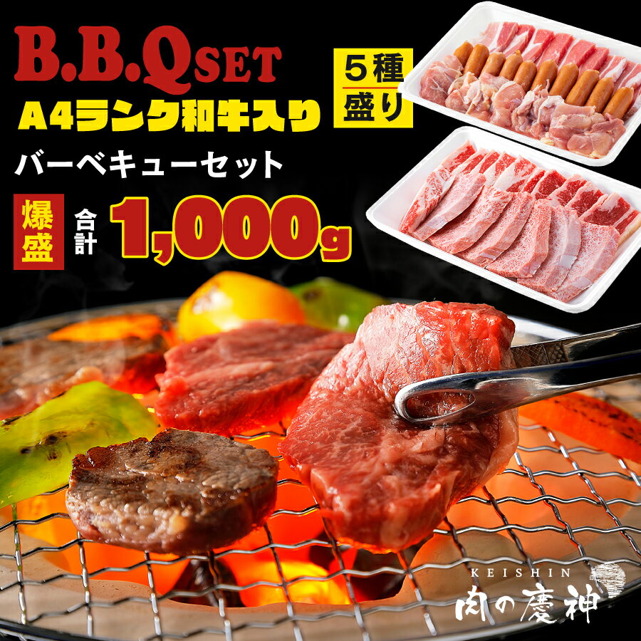 A4ランク 和牛入り バーベキュー セット 肉 食材 1kg ( 九州産和牛・牛肉・鶏肉・豚肉・ソーセージ 各200g)合計 1000g 食の都 福岡の卸し問屋より直送 bbq